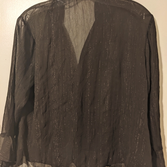 Ladies Blouse Sheer Sparkle Ruffle Buttons Long Sleeve - Picture 1 of 6